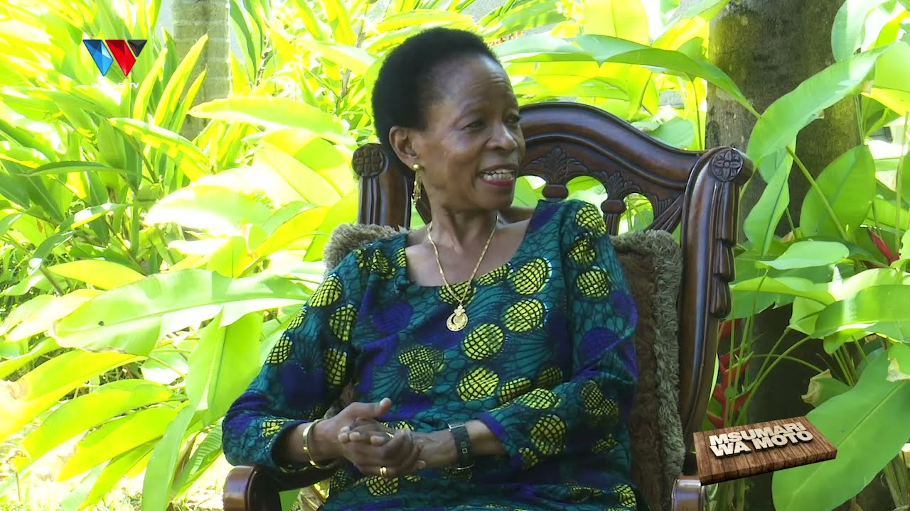 NILIFANYIWA FITINA/ CHATO HAINA SIFA KUWA MKOA/ KIGAMBONI INGEKUA DUBAI - PROF. TIBAIJUKA