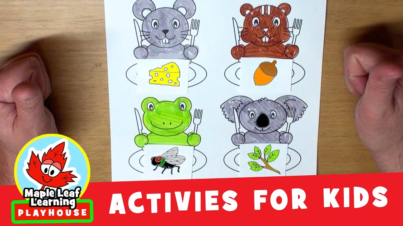 Feed the Animals #2 Activity for Kids | Maple Leaf Learning Playhouse