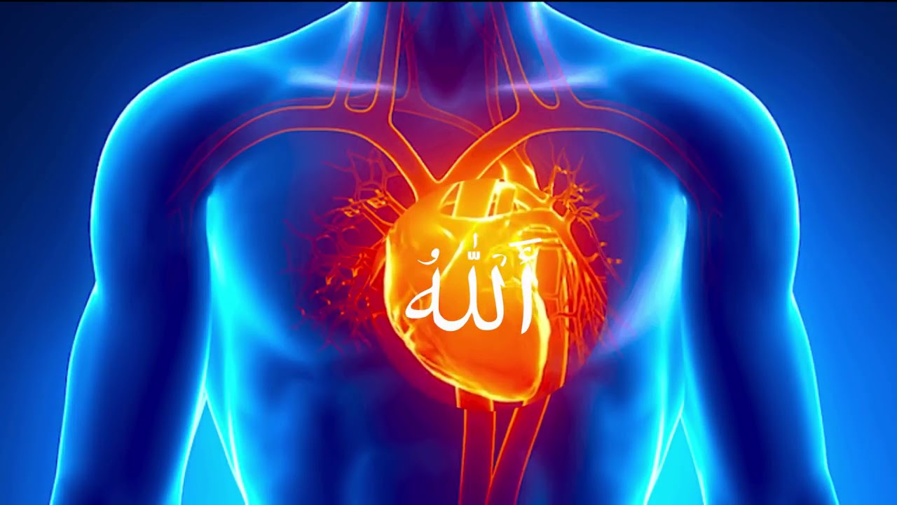 Zikr Allah 