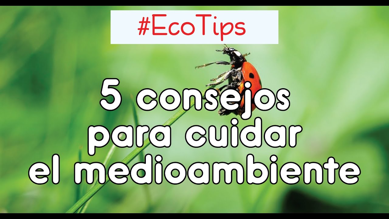 🖐️ 5 CONSEJOS para CUIDAR EL MEDIOAMBIENTE 🌱 (parte 1) ☞ #EcoTips