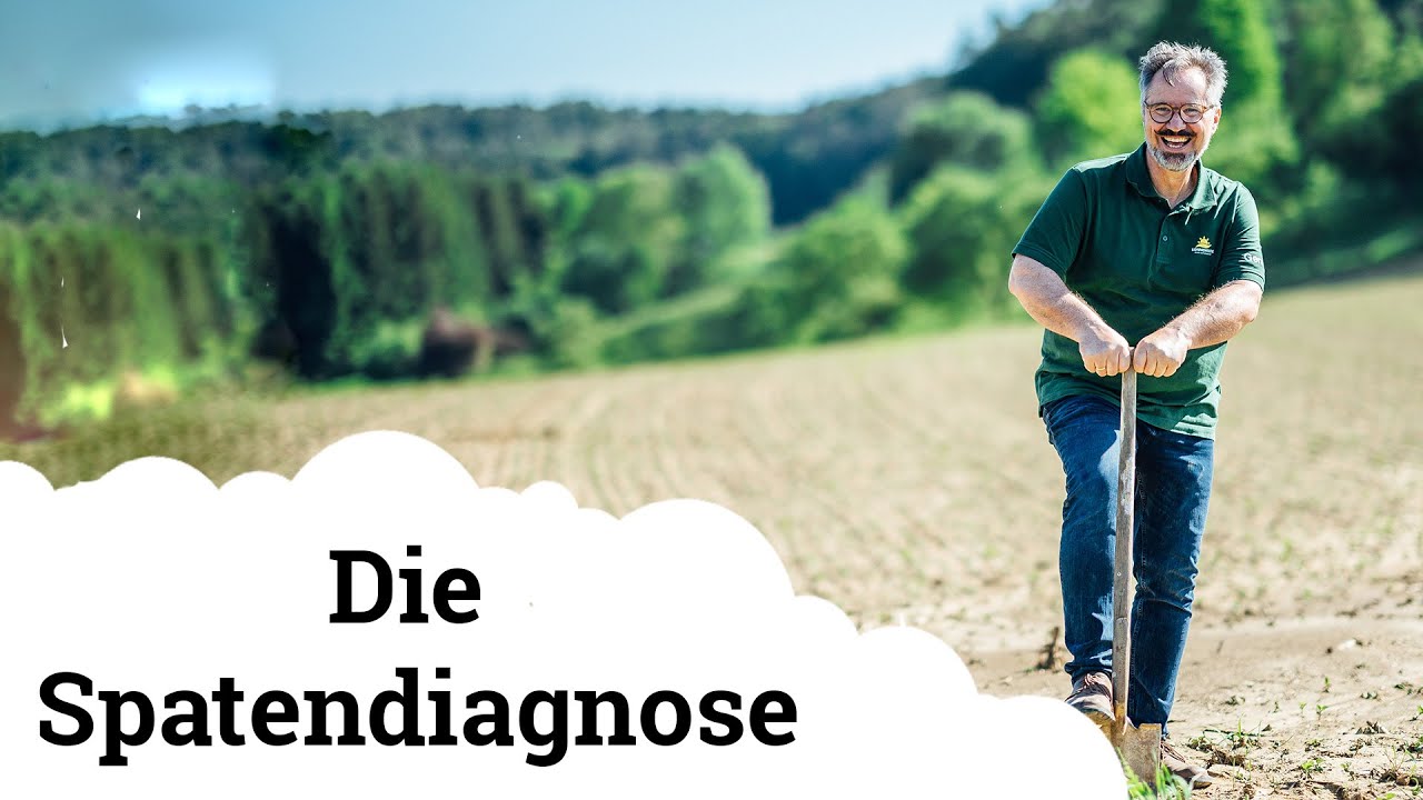 Die Spatendiagnose | Ist mein Boden überhaupt lebendig?!