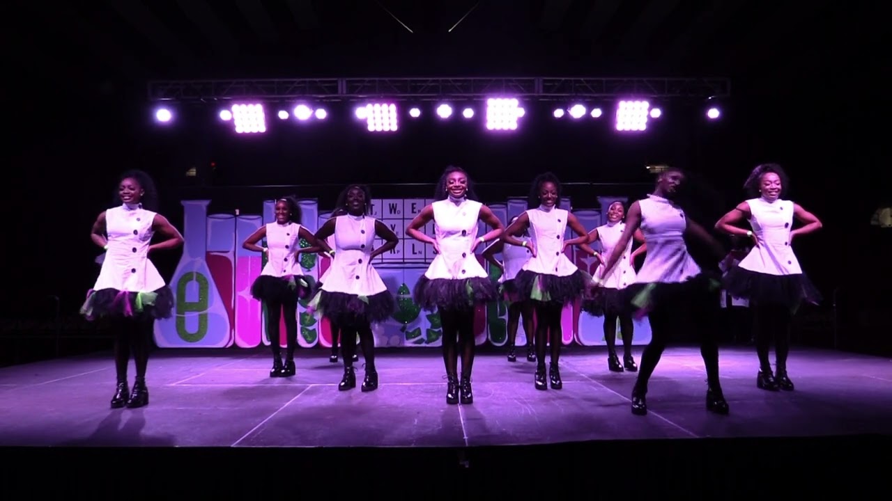 Theta Sigma Chapter of Alpha Kappa Alpha Sorority Inc. 2021 Homecoming Step Show Performance.