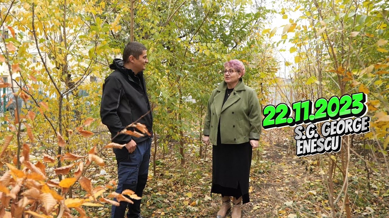 Prima minipădure urbană de la Moinești, Bacău (plantată în 1.04.2021, status: 22.11.2023)