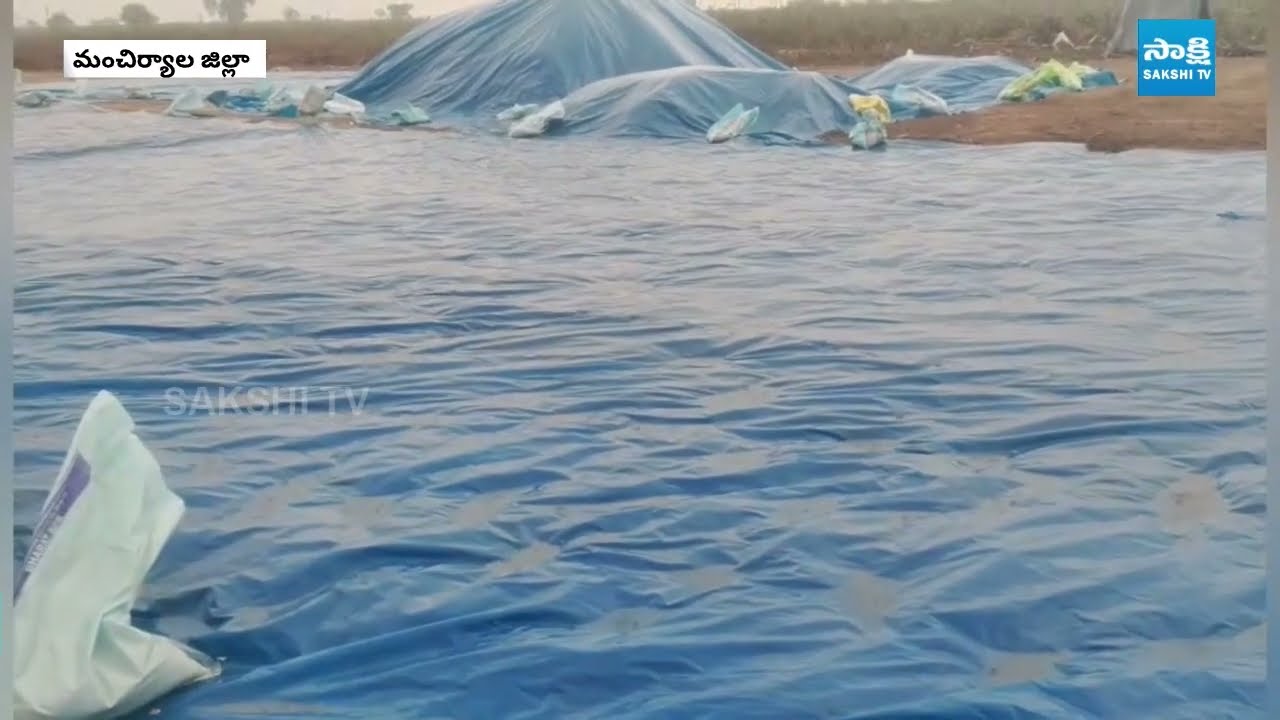 చేతికొచ్చిన పంట నీటిపాలు || Chilli Farmers Suffer Huge Losses After Untimely Rains | @SakshiTV