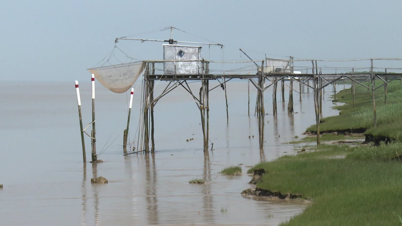 Un jour un village part à la découverte de Saint-Ciers-sur-Gironde