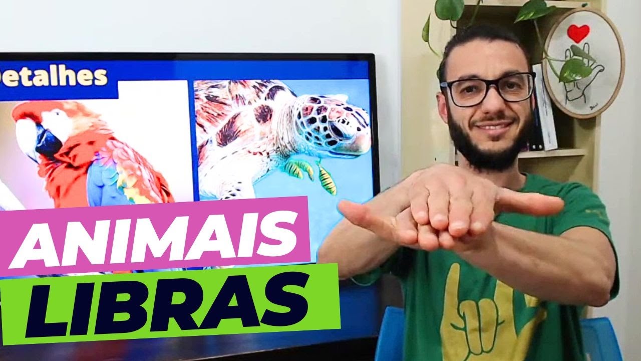 Animais em Libras usando os Classificadores