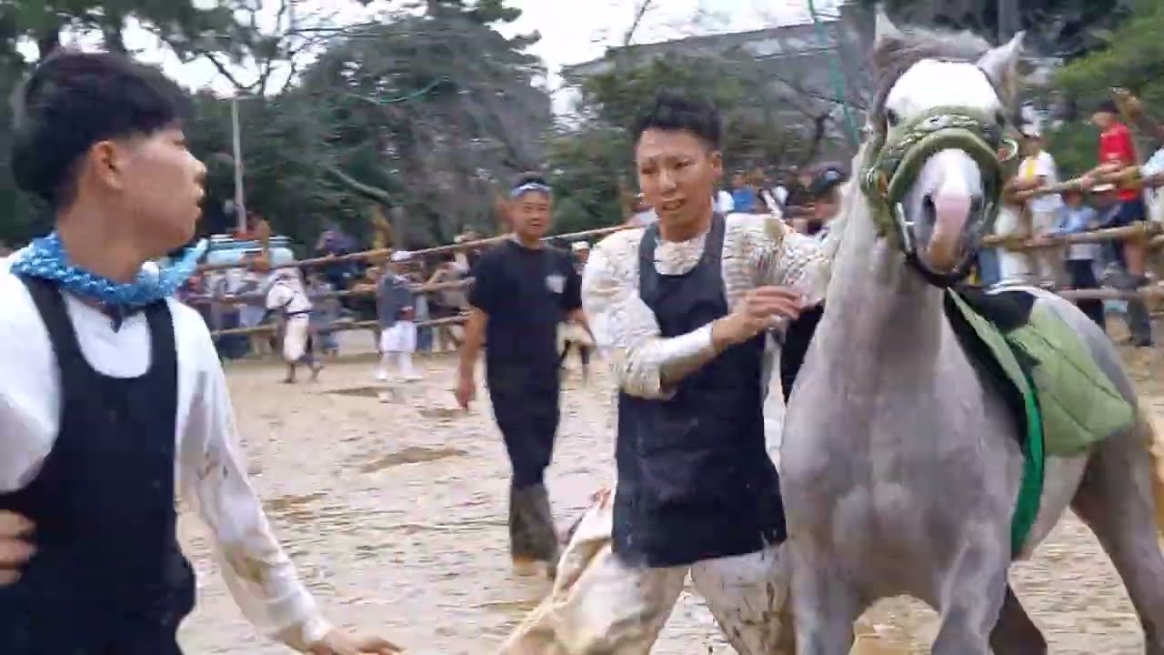 高浜おまんと祭り2024年