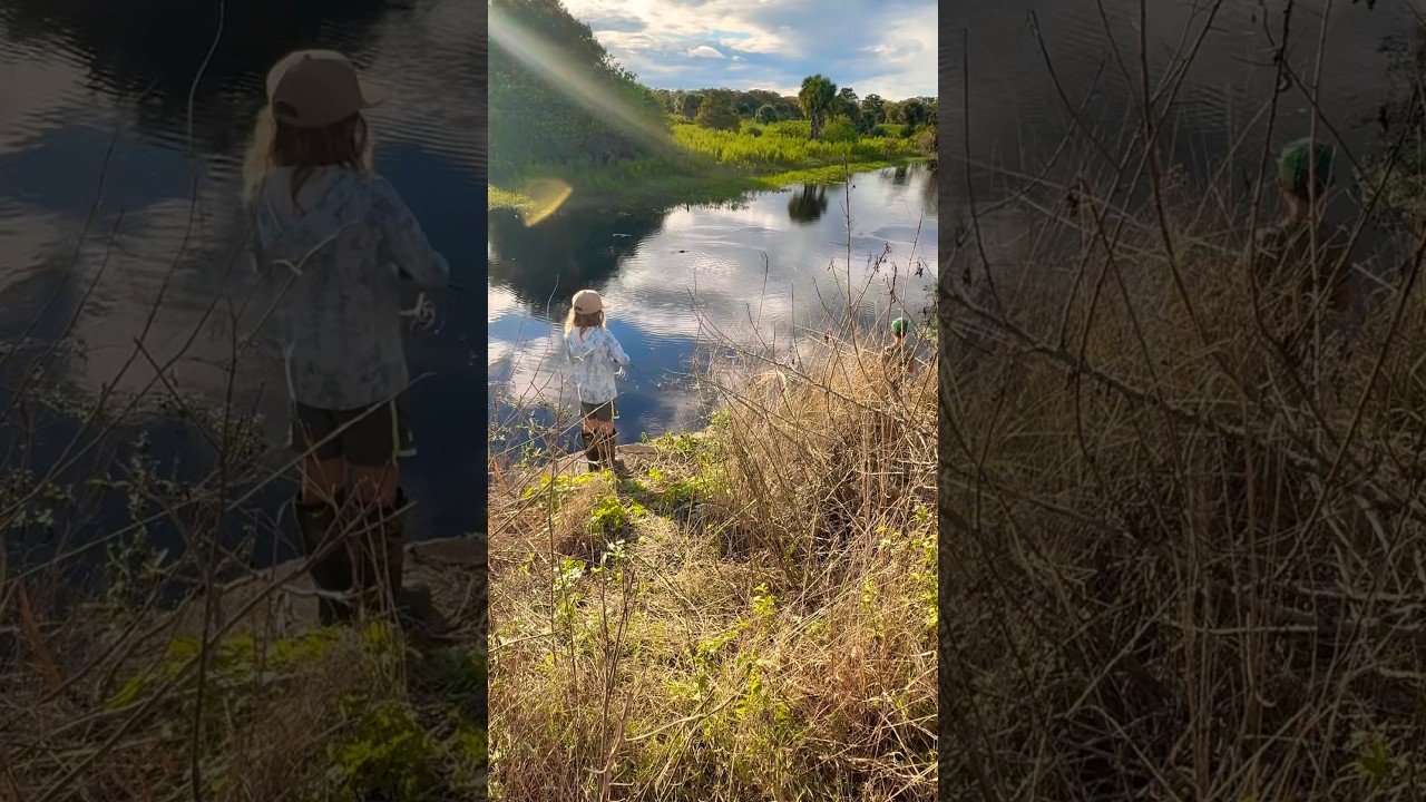 Gator chasing whopper plopper! 🐊 
