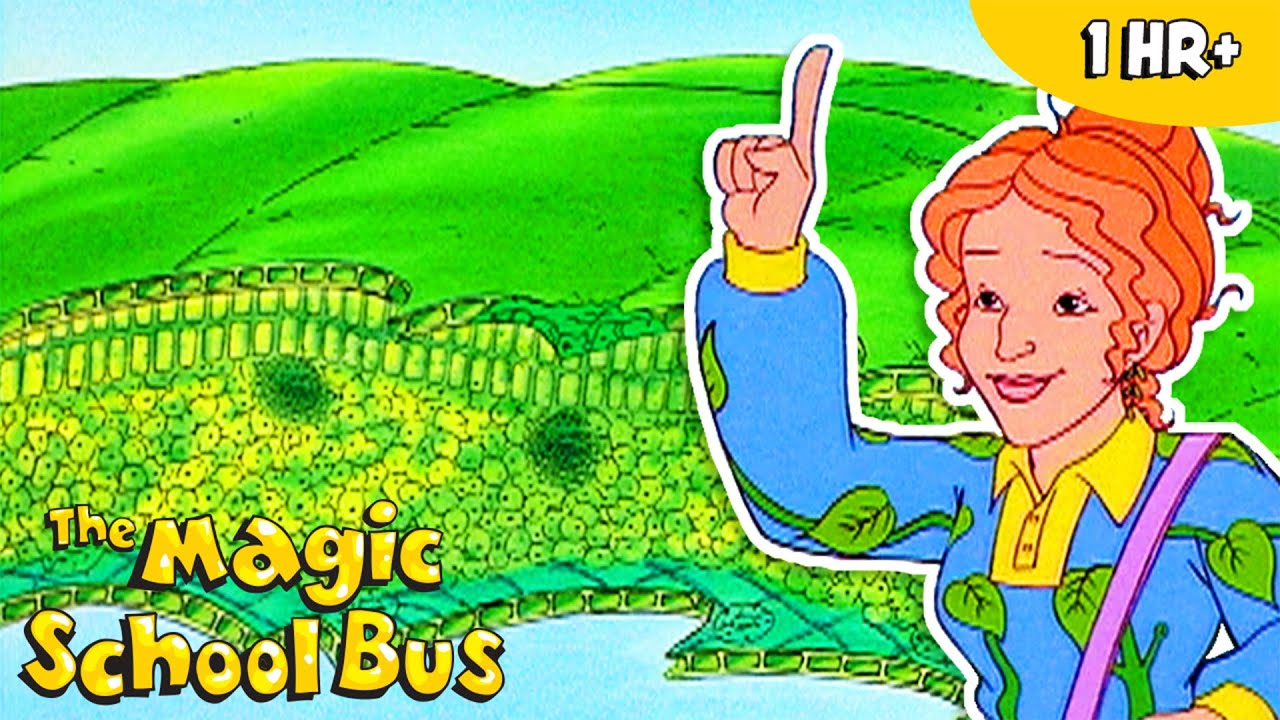 The Science of Plants | Science for Kids | Full Episodes | The Magic School Bus
