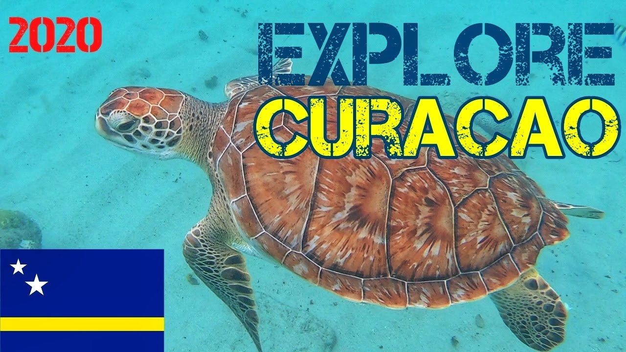 Explore Curaçao (zeeschildpadden,  wilde dolfijnen, Jan Thiel, snorkelen)