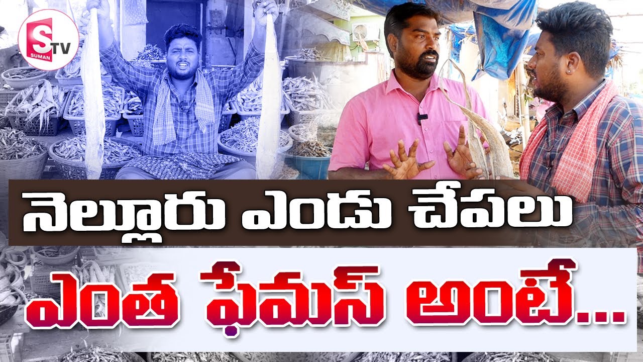 నెల్లూరు ఎండు చేపలు ఎంత ఫేమస్ అంటే.. I Suman tv Nellore