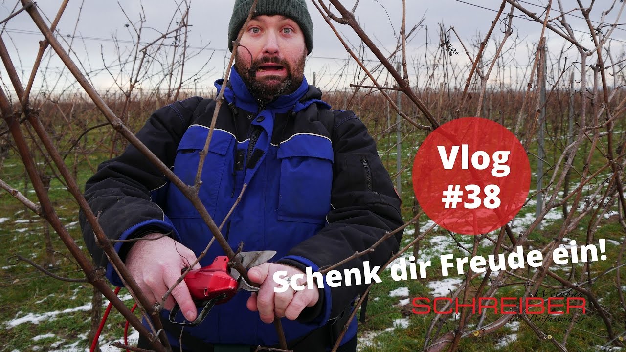 Alles fängt von vorne an mit dem Rebschnitt I Schenk dir Freude ein! Vlog #38