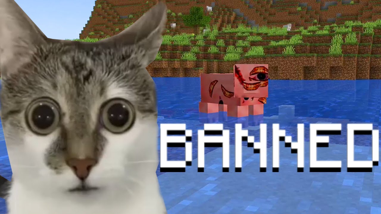 I Played A Horror Mod That Was BANNED