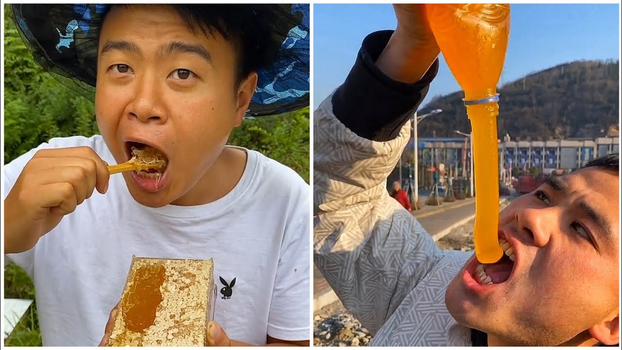 Best Honeycomb Eating Video | Relaxing Videos