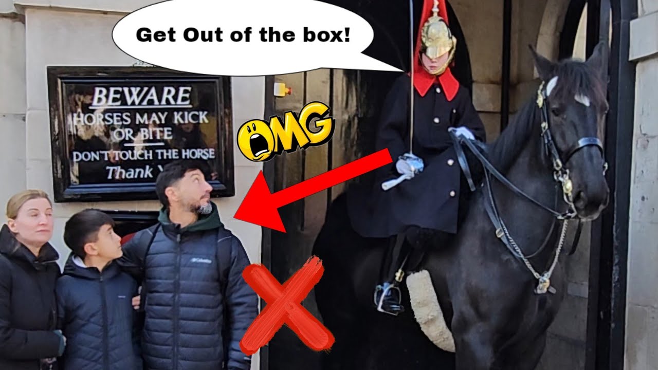 SHE'S BACK! He crossed the boundaries then got told off by the Brilliant Lady Guard!