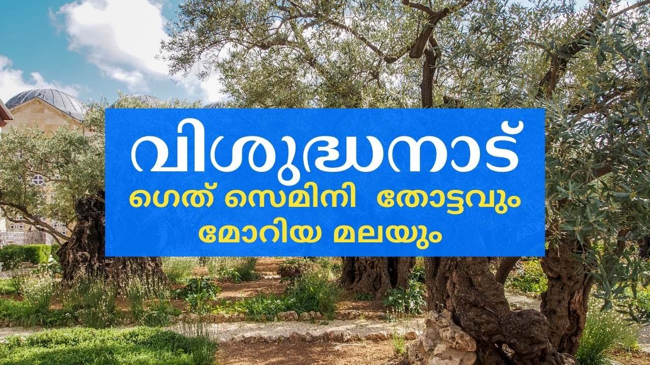 ഗെത് സെമിനി  തോട്ടവും മോറിയ മലയും - Fr Abraham Kadiyakuzhy