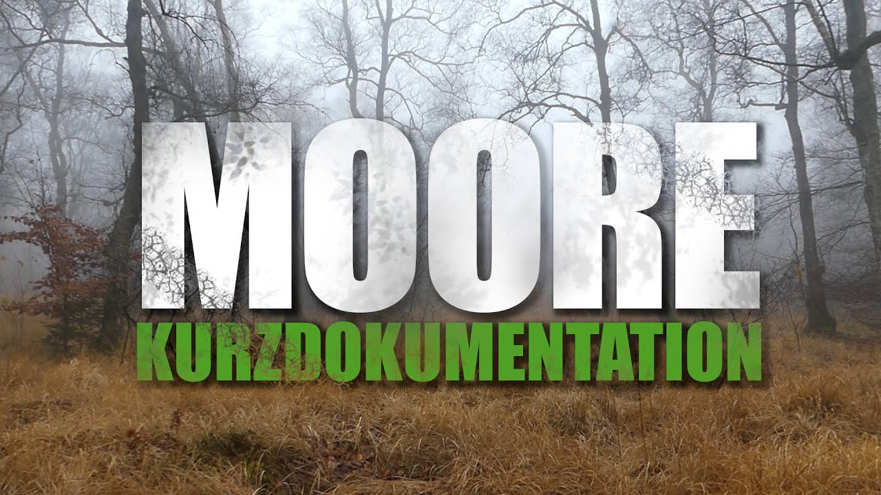 Moore sind Klimaretter!*  (Kurzdokumentation)