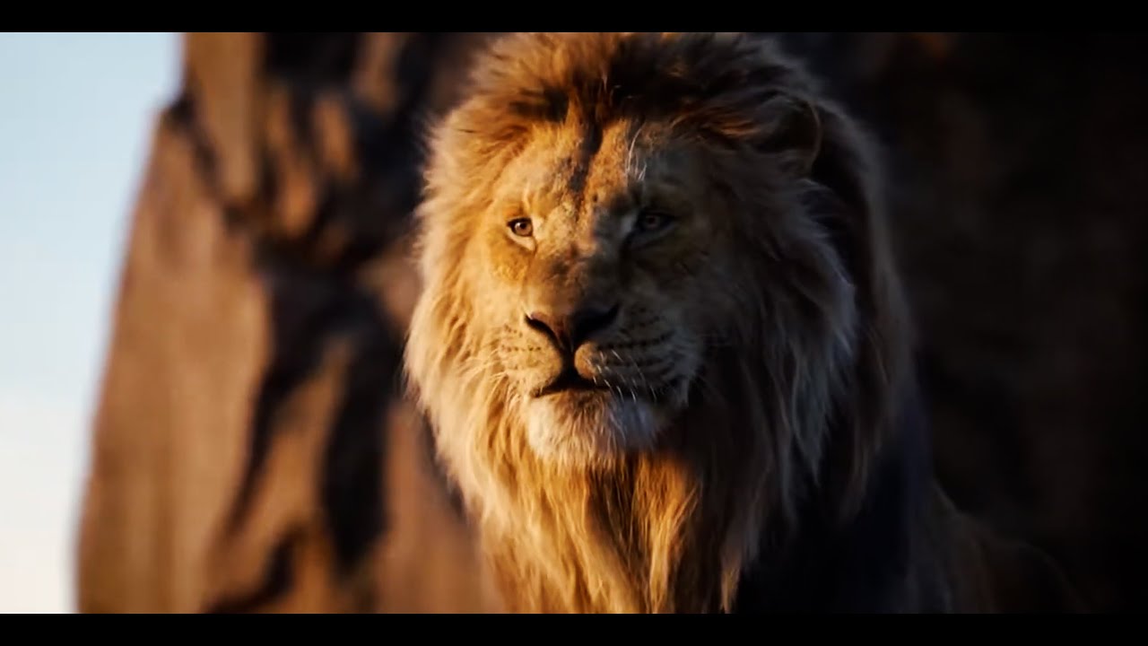 Le Roi Lion - L'histoire de la vie (#cover by Mad'moiselle Agathe) @Disney @DisneyMusicVEVO
