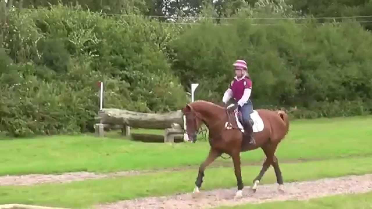 FALDEUS ~ recently broken 4yr old ~ first time xc