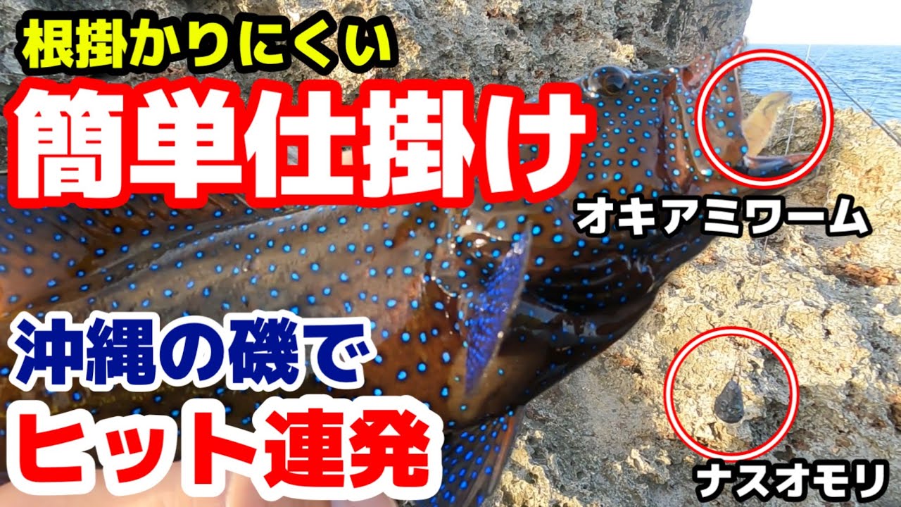 ガーラ、フエフキ、ミーバイ、オジサン他、様々な魚種を狙えます！