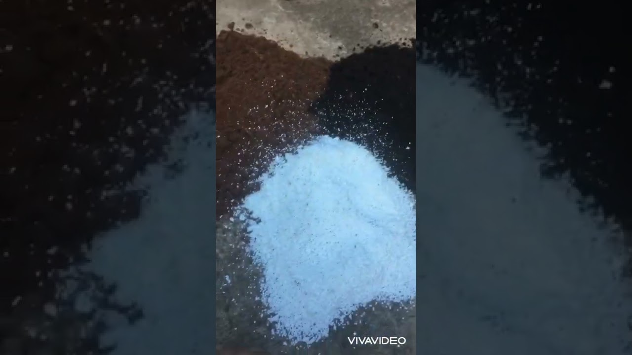 Prepara&ccedil;&atilde;o de solo org&acirc;nico para cultivo de canabis autom&aacute;ticas /seeds bank Brasil