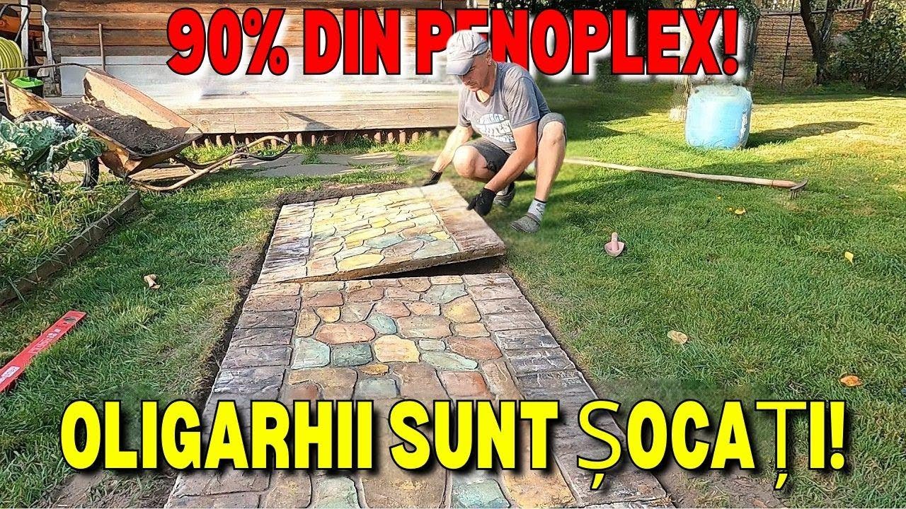 Alee de grădină ușor de făcut, ieftină și super arătoasă! Fă-o singur acasă