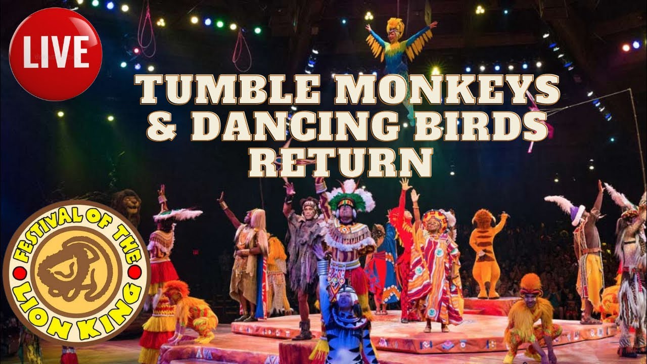 🔴LIVE: Festival of the Lion King Welcomes BACK Tumble Monkeys & Dancing Birds