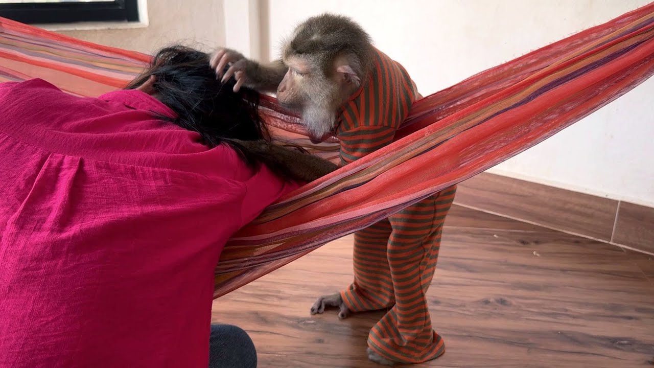 Deep Relaxing With Expert Judy And Enjoy Her Gentle Grooming Sounds