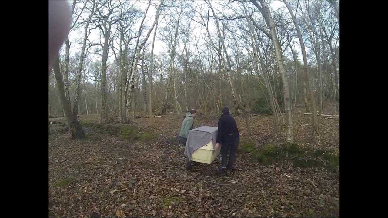 Roe Deer Rescue