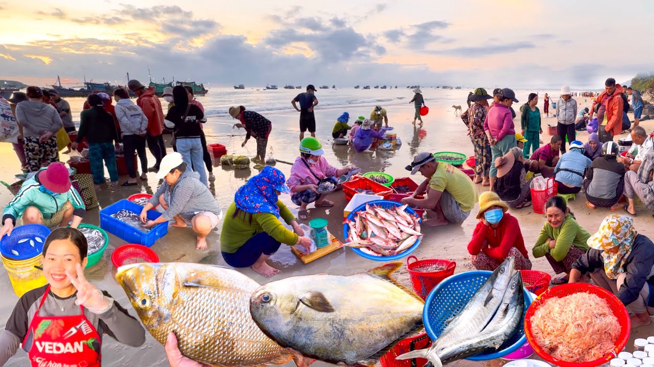 Tôm Sú Cá Gáy Làng Biển Mỹ Quang | Dễ Thương Chợ An Phú Tuy Hoà