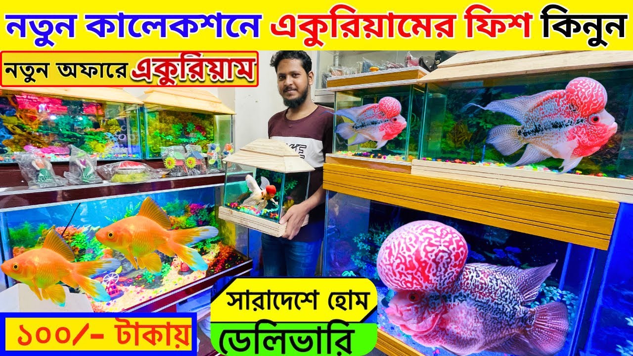 এ্যাকুরিয়ামের মাছ কিনুন Aquarium Fish Price In Bangladesh 2025 Aquarium price in Bangladesh
