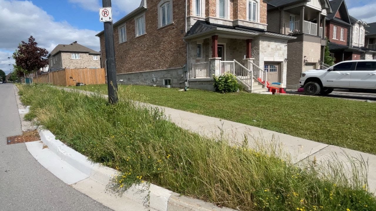 Who is responsible for MOWING the BOULEVARD GRASS in a SUBDIVISION?