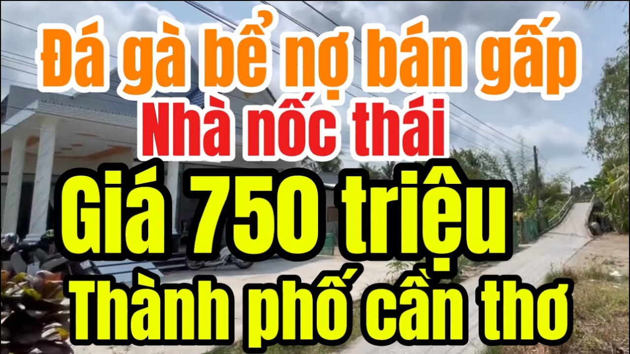 Đá gà bể nợ bán gấp nhà nốc thái mặt tiền đường dal dân cư đông Đúc giá 750 triệu Tỉnh Hậu Giang củ