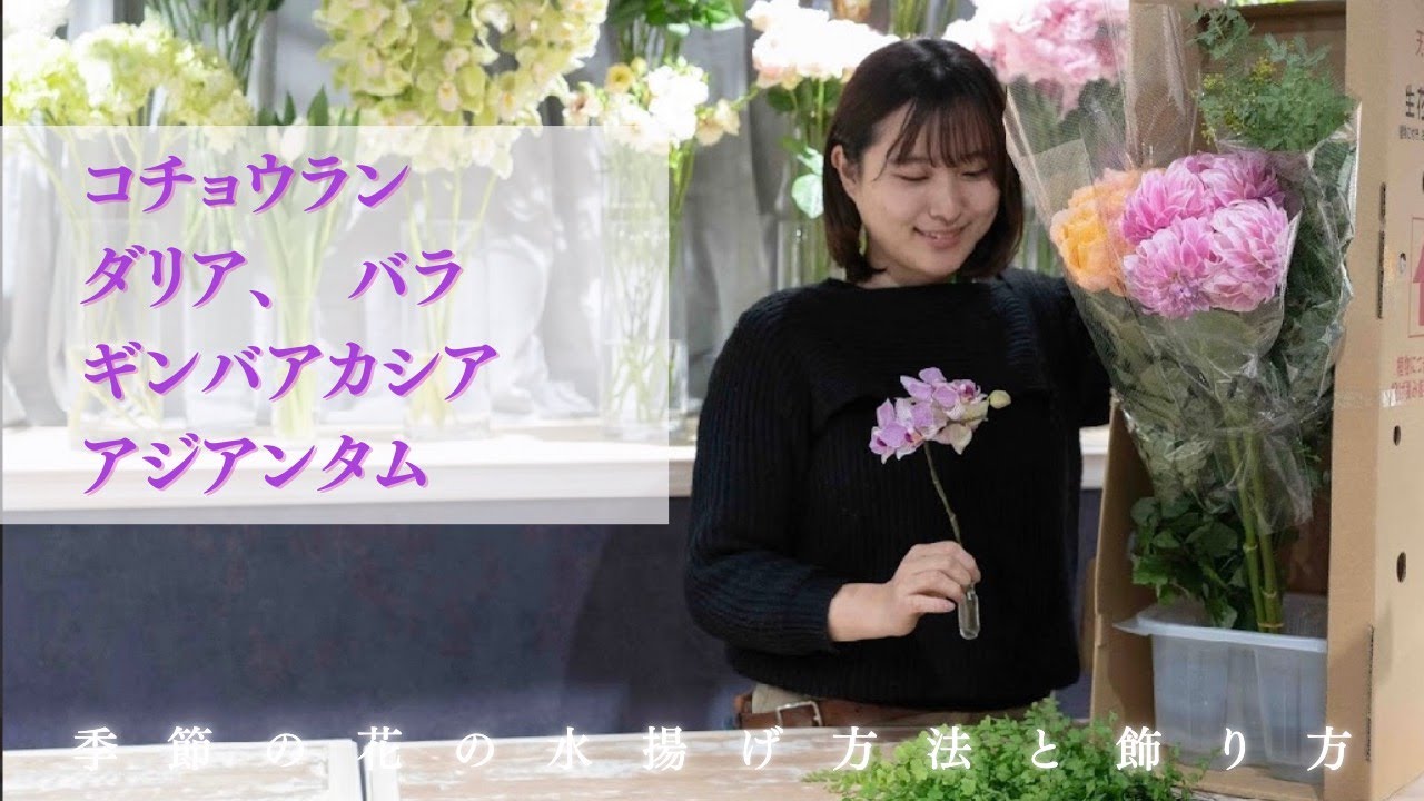 季節の花の水揚げ方法　 コチョウラン ダリア バラ ギンバアカシア　アジアンタム　市場直送便　1/10．13