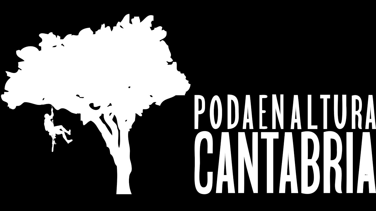 Poda En Altura Cantabria