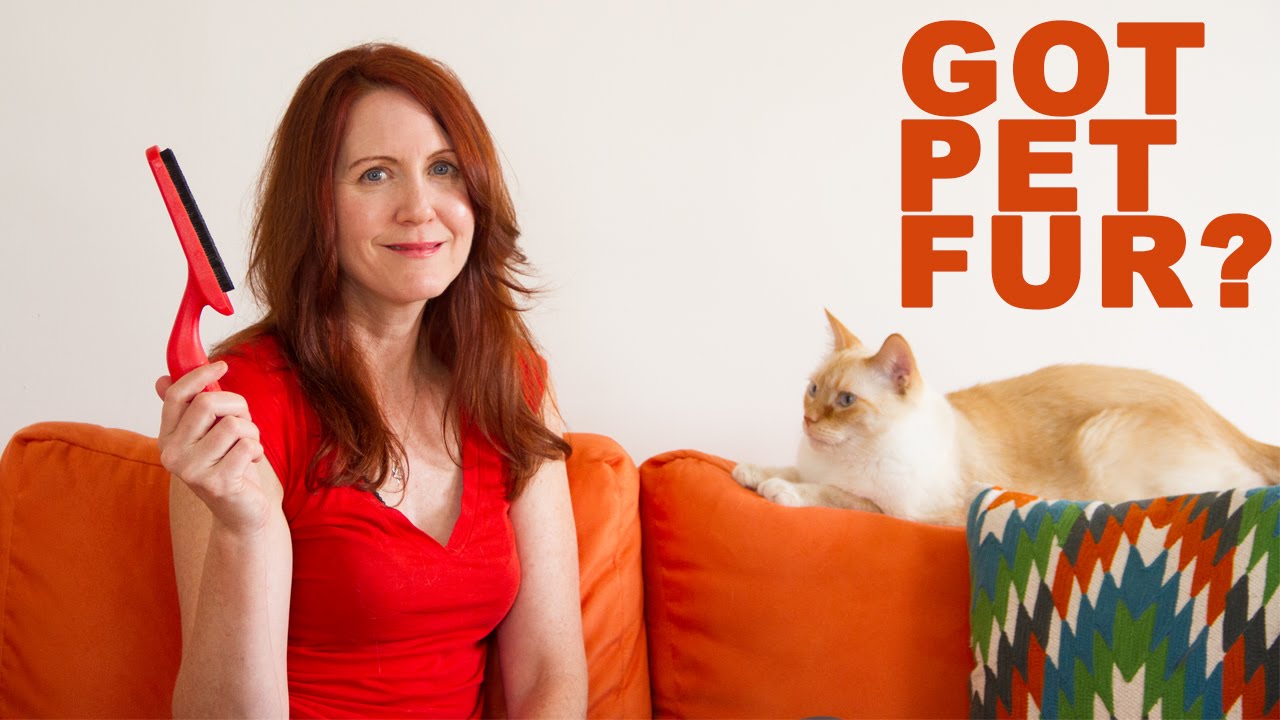 Pet Tips: Clean Pet Fur in Seconds for a Fur Free Home!