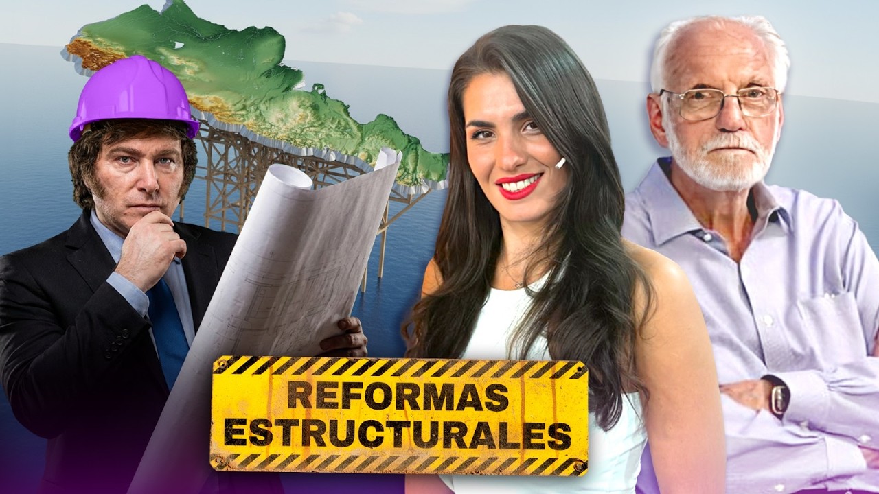 QUÉ PASA CON LOS GOBIERNOS NO PERONISTAS - OFERTA Y DEMANDA