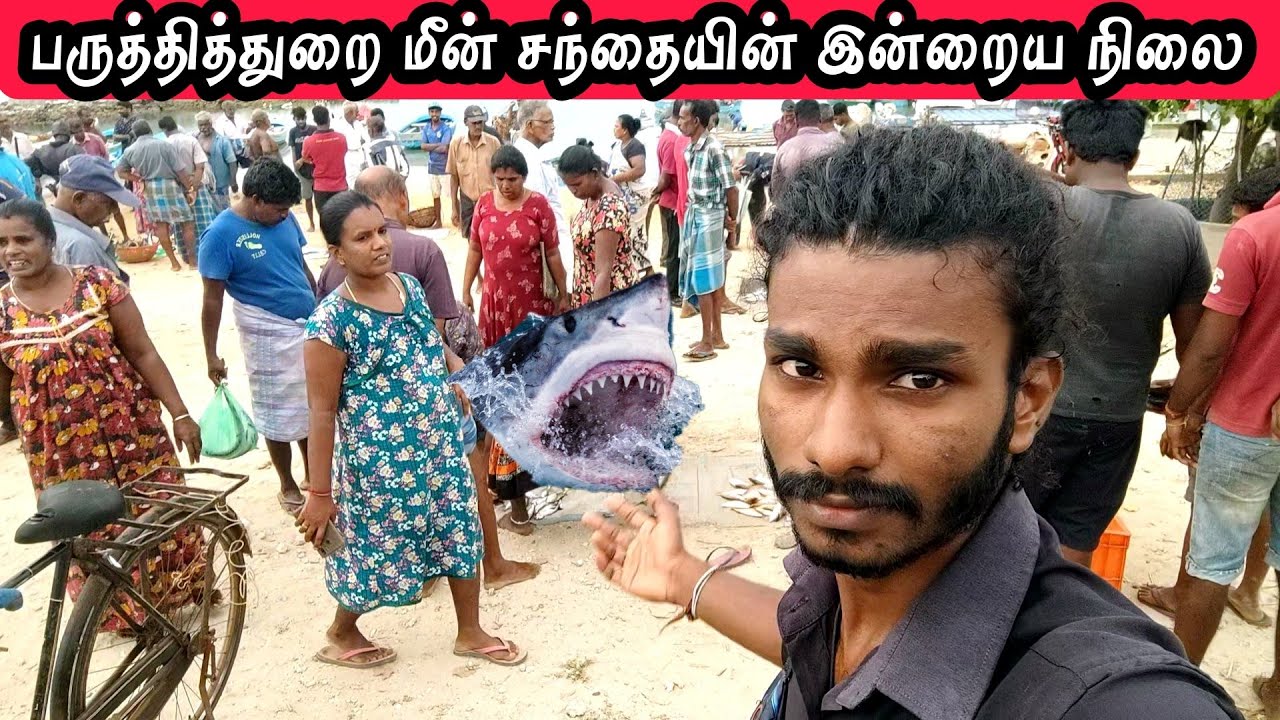 பருத்தித்துறை மீன் சந்தையின் இன்றைய நிலை | Point pedro fish market | Episode 02 #shenvlog