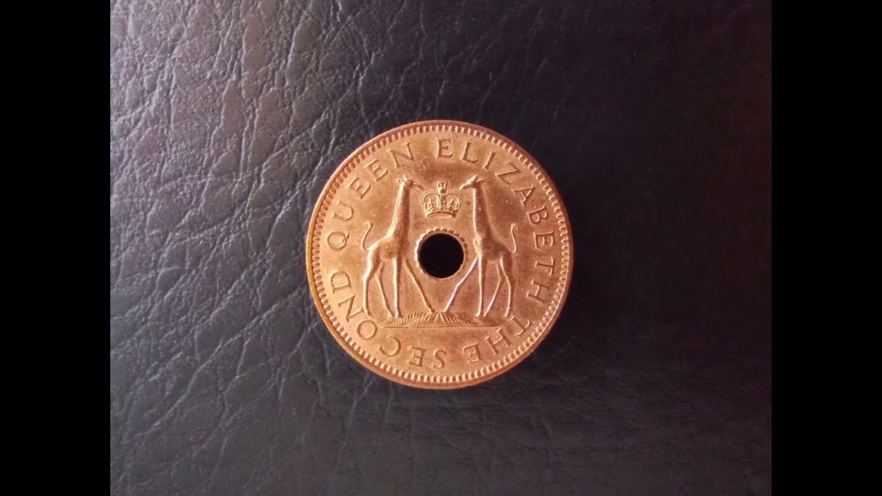 How look Rhodesia and Nyasaland 1/2 Penny 1964? Rare African coins 4K Clip