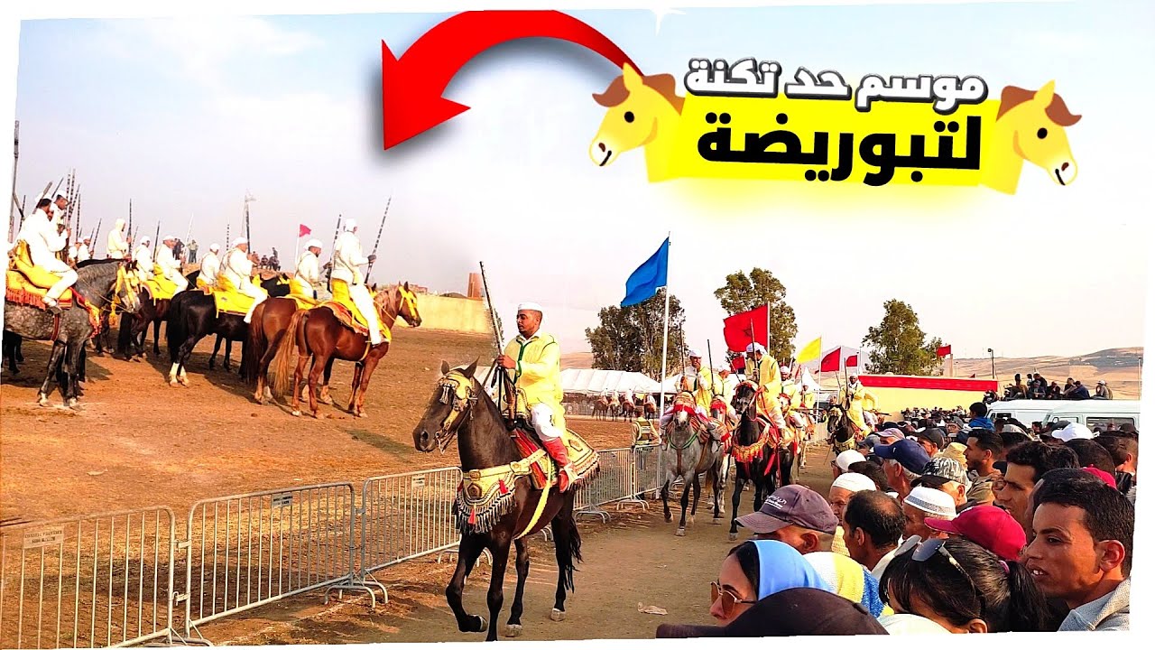 موسم تبورضة لمنطقة حد تكنة 🐴#خيل_العربي_الاصيل #خيل_وخيالها