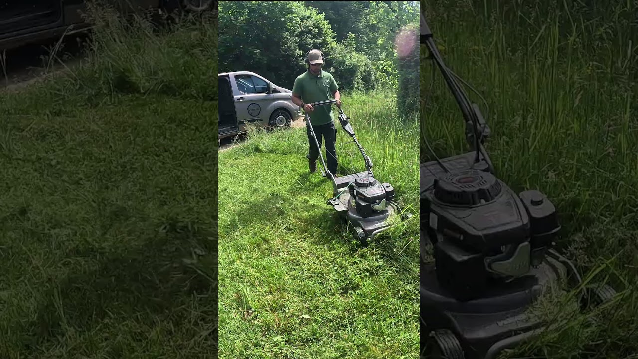 Tall Grass? No Problem for the Weibang Beast!