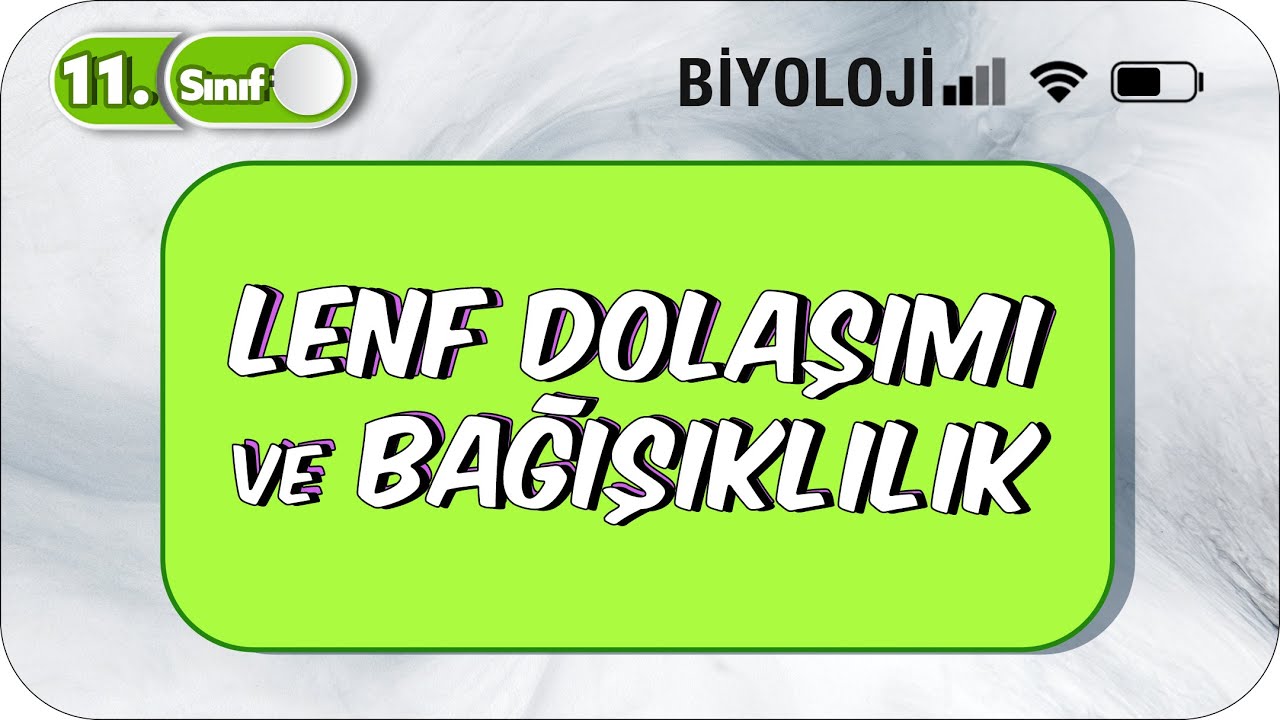 Lenf Dolaşımı ve Bağışıklık  | Tek Videoda Anlatım | 11. Sınıf Biyoloji  #2023