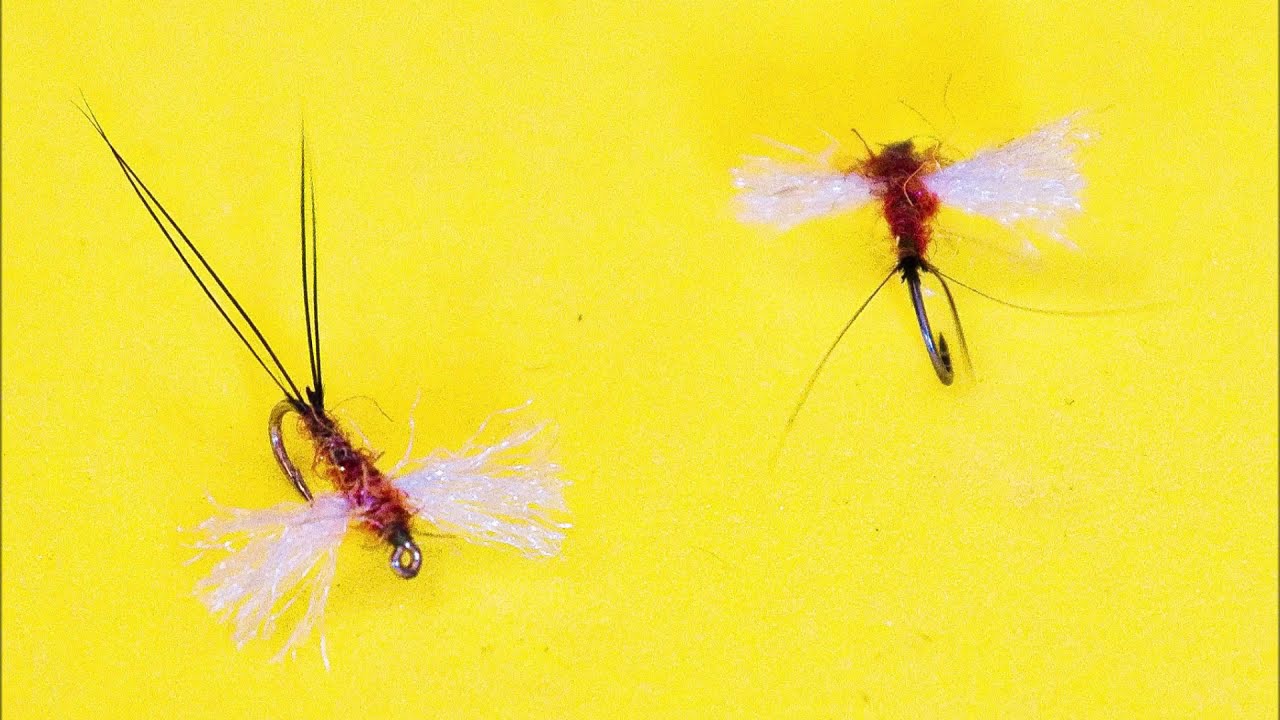 Fly tying,Sherry Spinner Flytying Tutorial