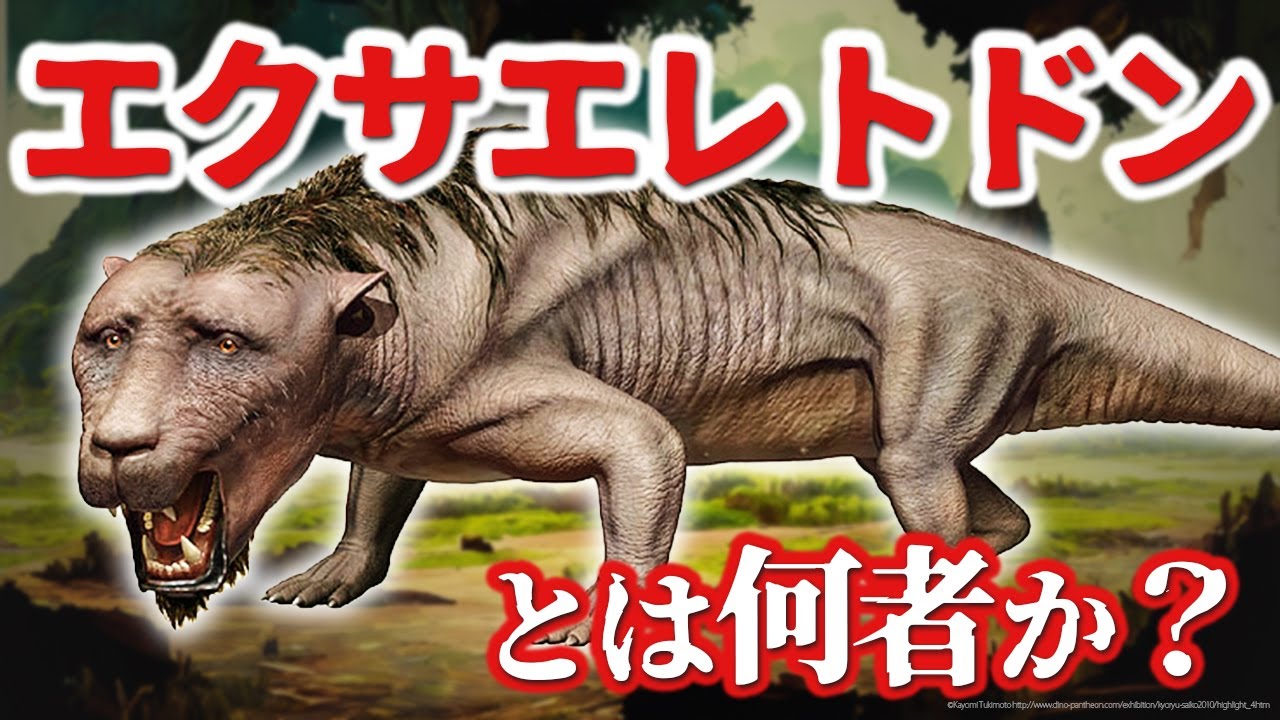 【ゆっくり解説】古代の人面生物現る！哺乳類の祖先エクサエレトドンとは何者か？