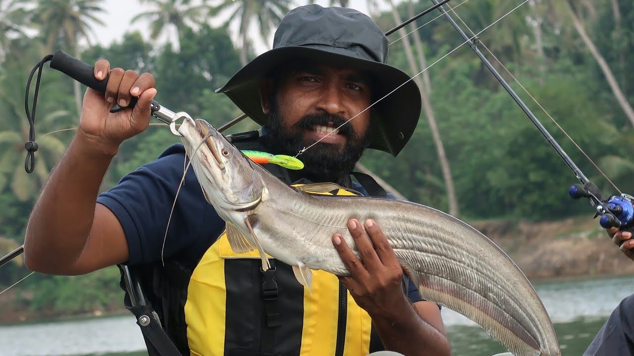 3KG ആറ്റുവാള പിടിച്ച് ഷാപ്പിലെ കറിവെച്ചത്  | WALLAGO ATTU FISH CATCH AND COOK | UNDER WATER FISHING