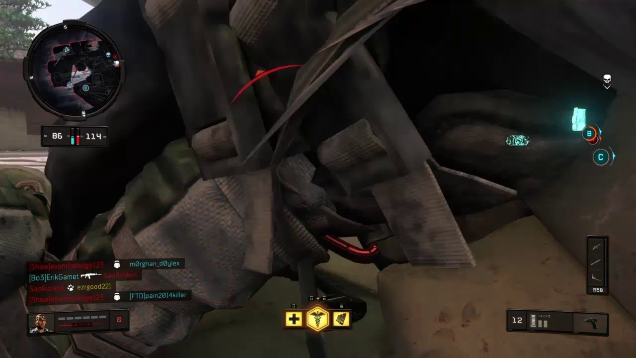 BO4 dog
