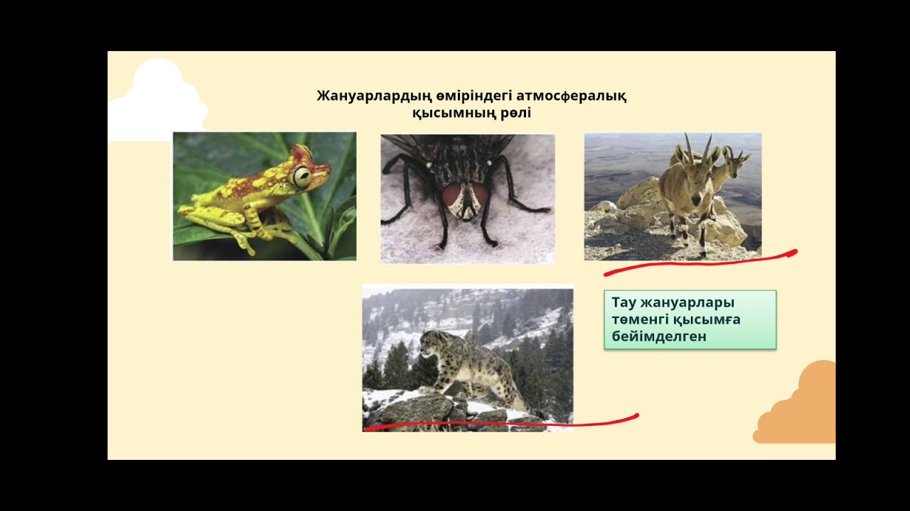 Ағзаларға қысымның әсері, 6-сынып жаратылыстану