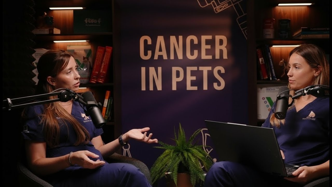 Forget everything you think you know about cancer in pets