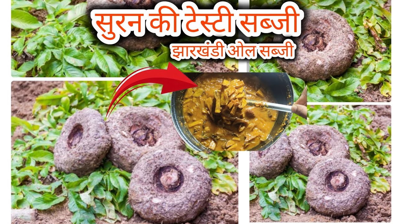 🍲 सूरन (ओल) की सब्ज़ी | Suran Sabzi Recipe | Village Style Oal Curry#suransbji #recipevideo #food 