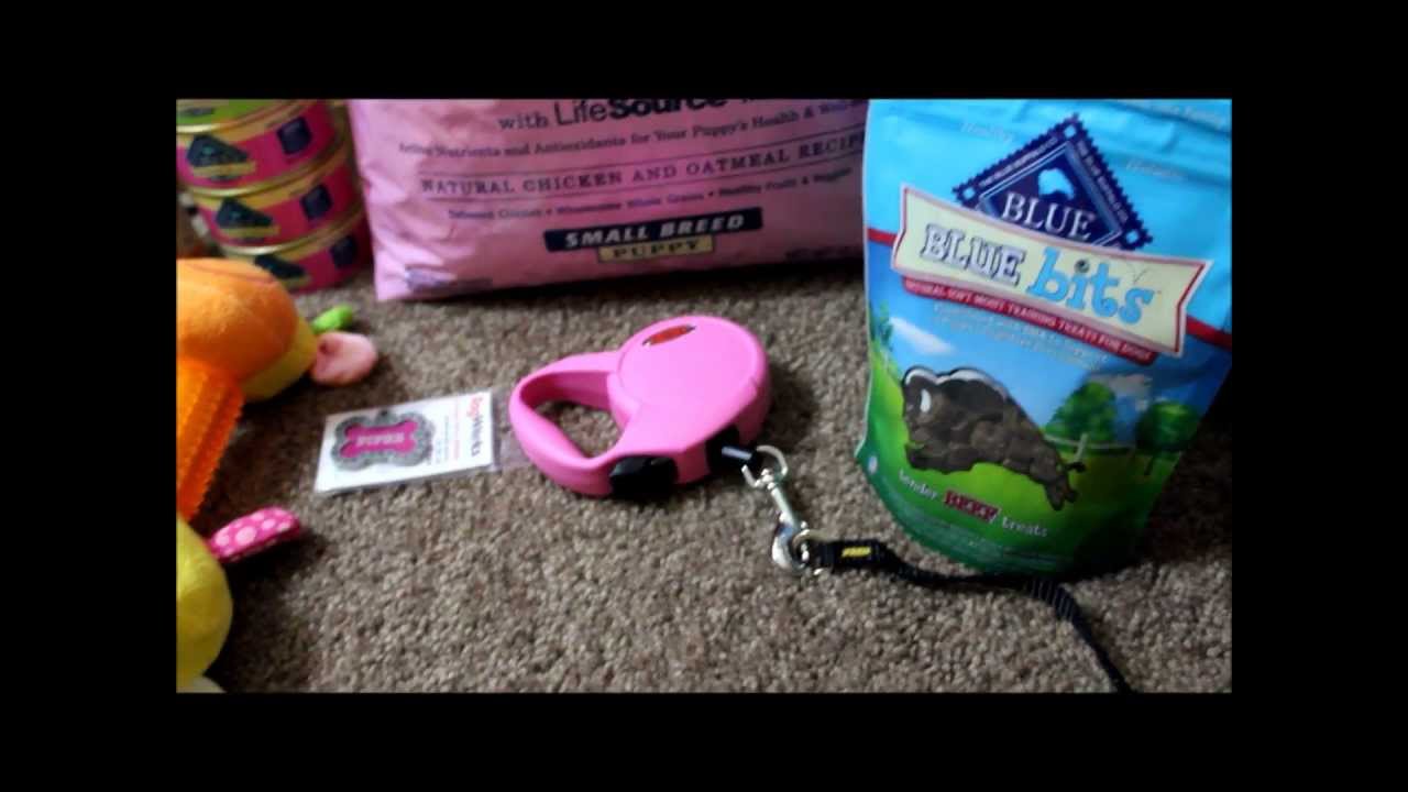 Puppy Haul (PetSmart)